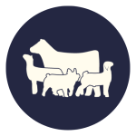 livestock program